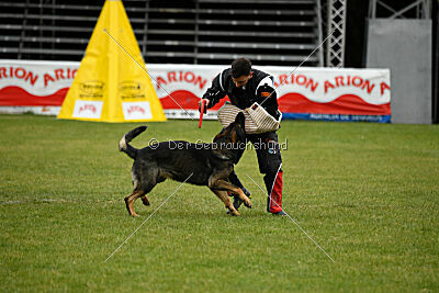 Meiko des Orckis de l`Adret